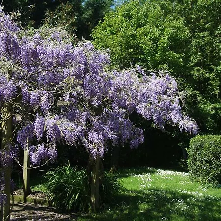 Bed & Breakfast Les Bouts De Ralle D'hotes 3*