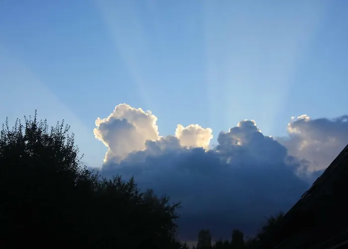 Les Bouts De Ralle D'hotes Bed & Breakfast Sainte-Osmane