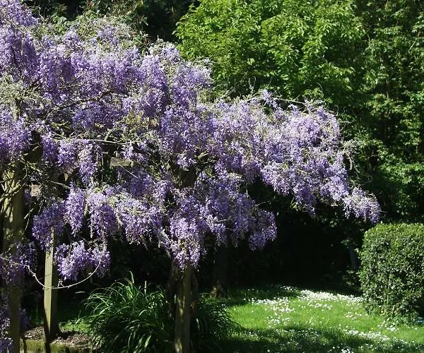 Bed & Breakfast Les Bouts De Ralle D'hotes 3*