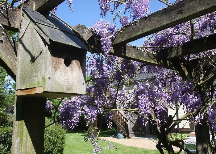 Les Bouts De Ralle D'hotes